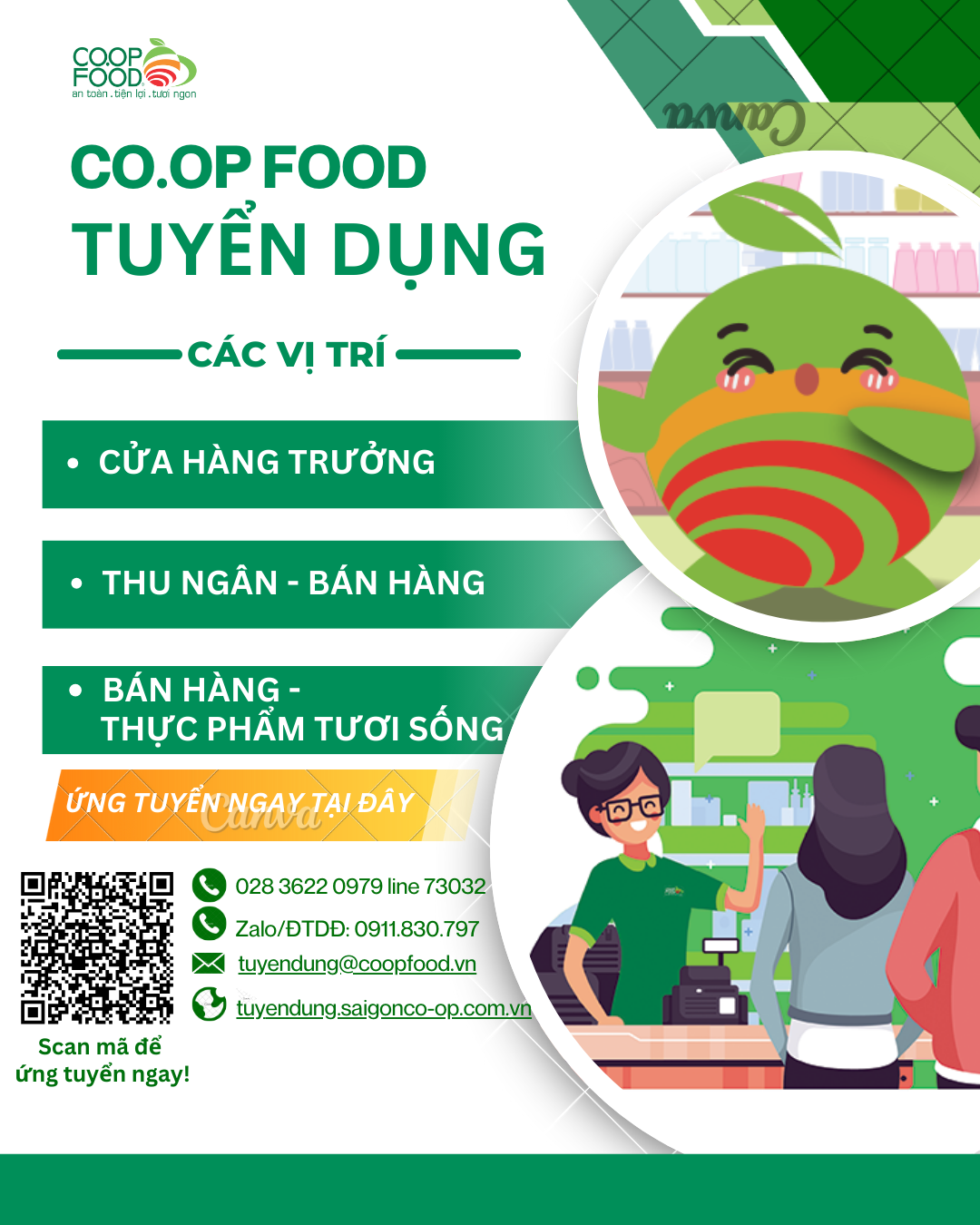 lĩnh vực hoạt động